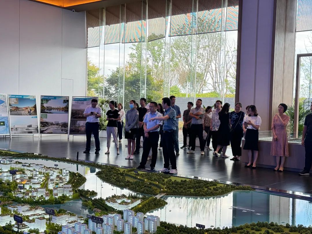政府開放月活動(dòng)：公眾走近示范區(qū)，感受青浦蓬勃發(fā)展.jpg