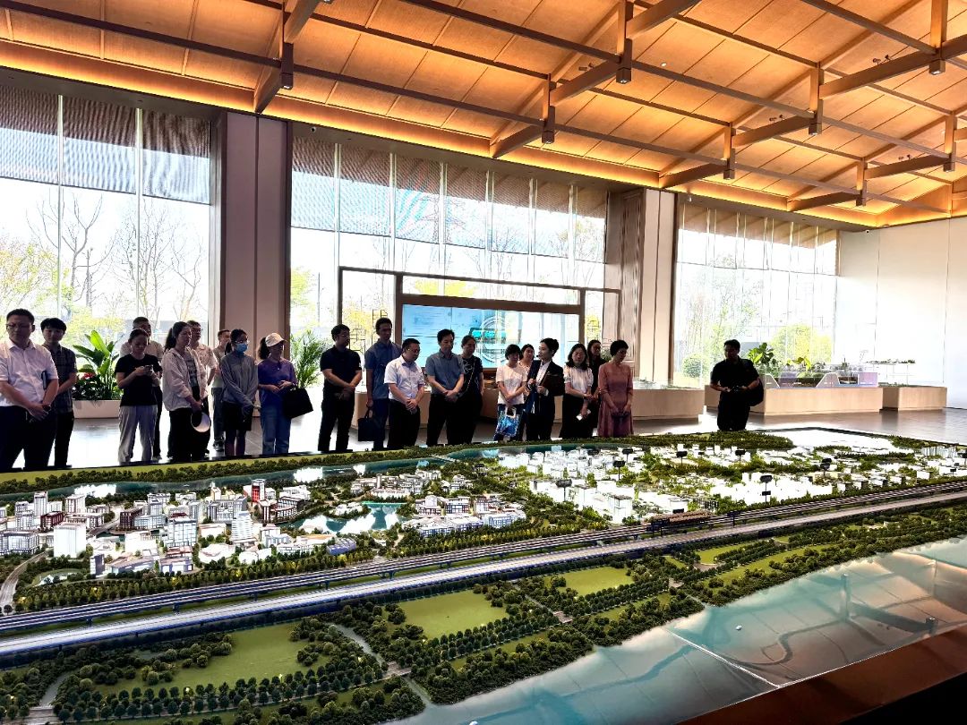 政府開放月活動(dòng)：公眾走近示范區(qū)，感受青浦蓬勃發(fā)展 .jpg